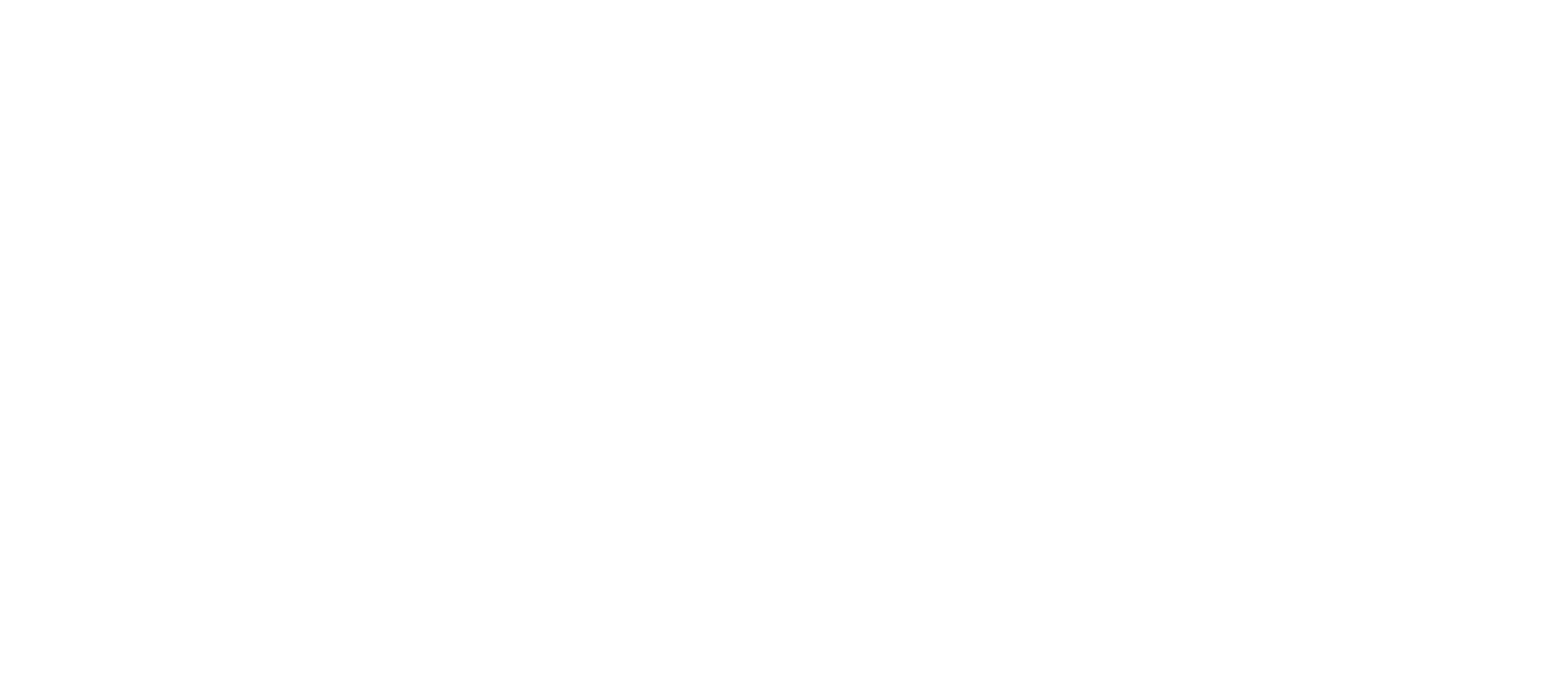 BFI FLARE